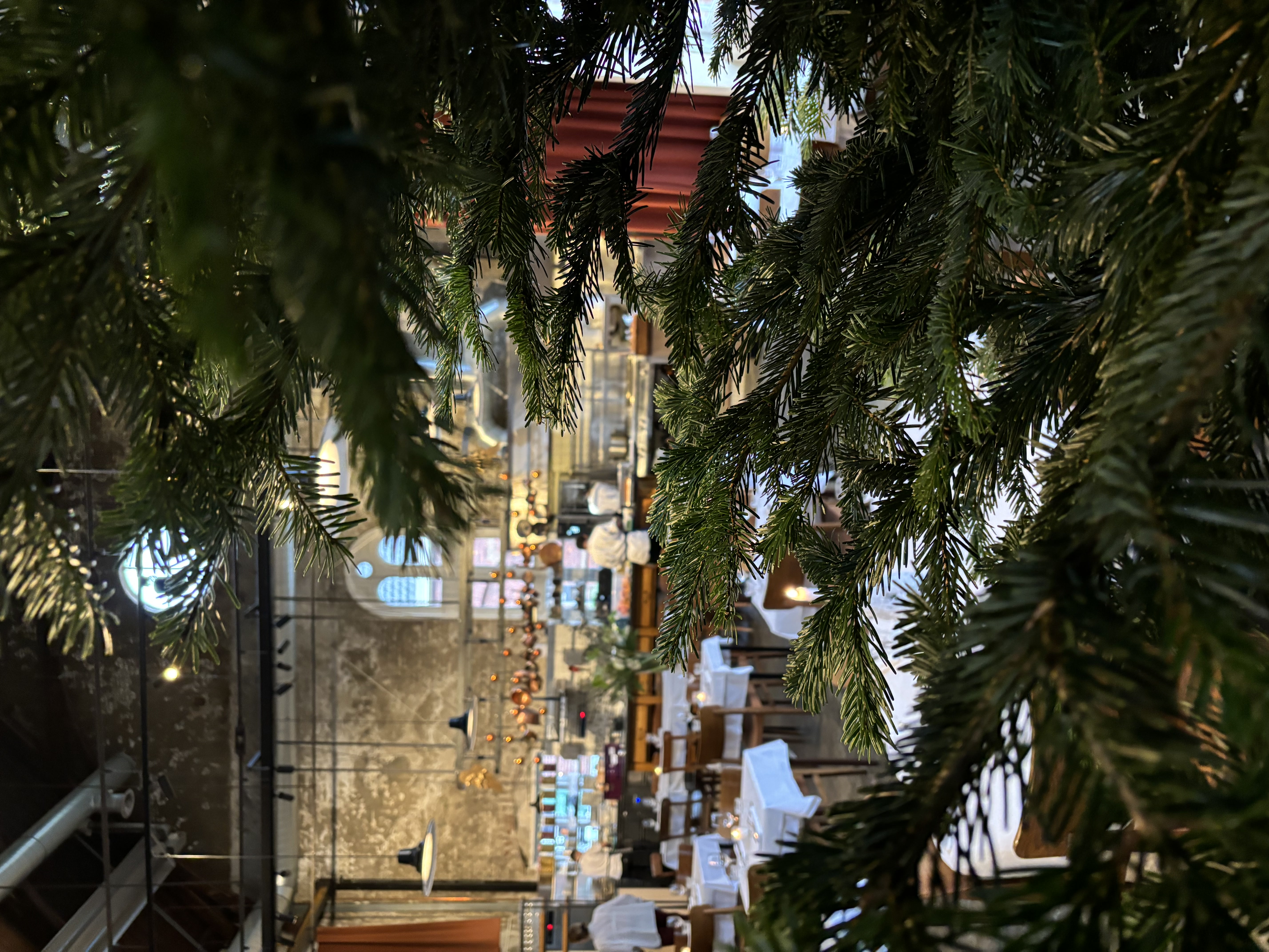 Nordmann 250-300 cm - foto 2